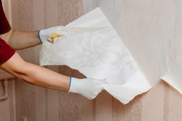 Expert Wall Surface Prep